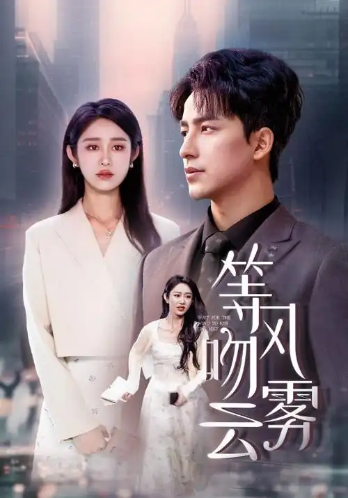 雾港纪事电视剧全集免费在线观看